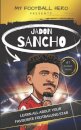 My Football Hero