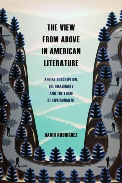 The View from Above in American Literature
