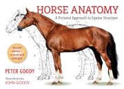 Horse Anatomy