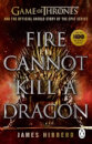 Fire Cannot Kill A Dragon