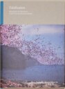 Falsification - Photographs by Seba Kurtis with a Story by Hiromi Kawakami