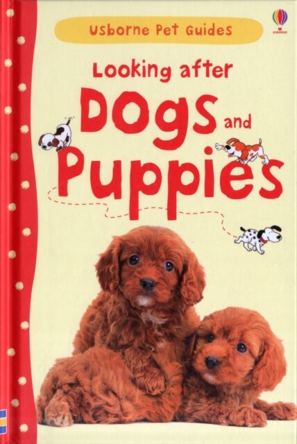Looking After Dogs And Puppies
