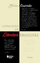 Conceito De Literatura Brasileira