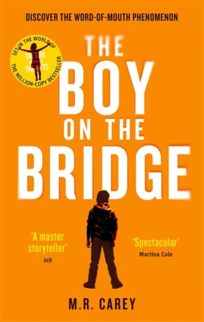 The Boy On The Bridge