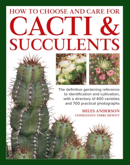 Cacti & Succulents, How to Choose and Care for