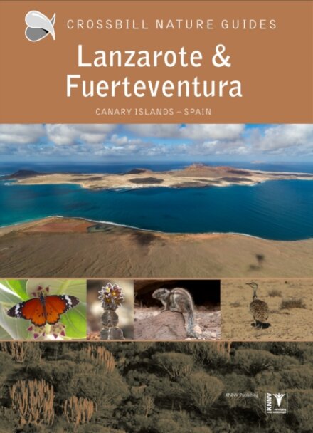 Lanzarote and Fuerteventura