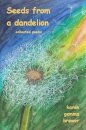 Seeds from a dandelion