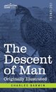 The Descent of Man