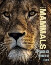 The Age of Mammals