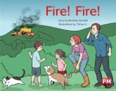 PM YELLOW FIRE FIRE PM STORYBOOKS LEVEL