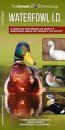 Waterfowl Id Set
