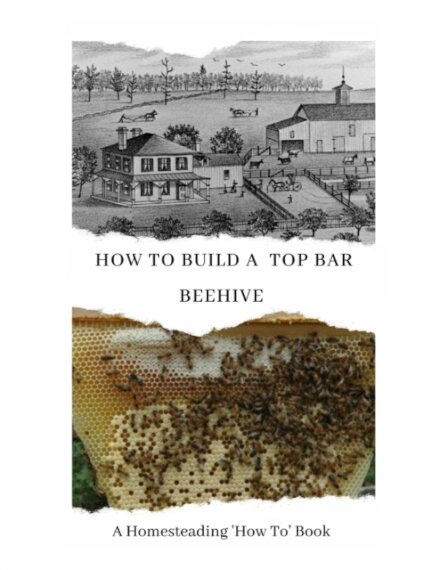 How to Build a Top Bar Beehive