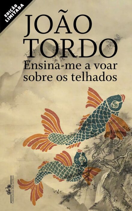 Ensina-me a Voar Sobre os Telhados