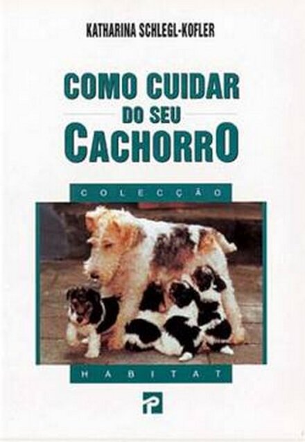Como Cuidar Do Seu Cachorro
