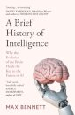 A Brief History Of Intelligence