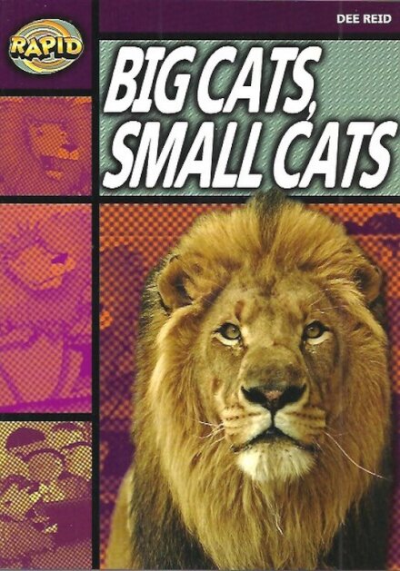 Big Cats Small Cats