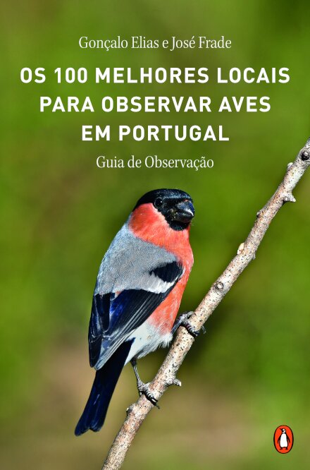 Os 100 Melhores Locais Para Observar Aves Em Portugal