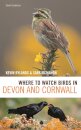 Where to Watch Birds in Devon and Cornwall