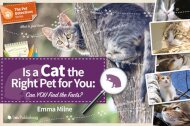 Is a Cat the Right Pet for You