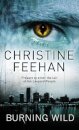 Burning Wild