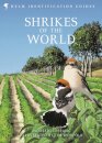 Shrikes of the World