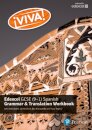 Viva! Edexcel GCSE Spanish Grammar and Translation Workbook