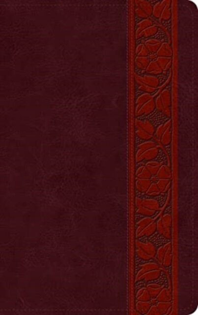 ESV Large Print Personal Size Bible, Red Letter